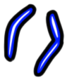 Image of the occurrence